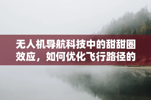 无人机导航科技中的甜甜圈效应，如何优化飞行路径的平滑度？