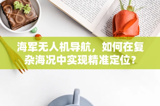 海军无人机导航，如何在复杂海况中实现精准定位？