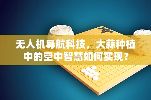 无人机导航科技，大蒜种植中的空中智慧如何实现？