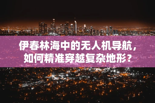 伊春林海中的无人机导航，如何精准穿越复杂地形？