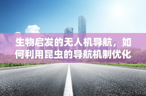 生物启发的无人机导航，如何利用昆虫的导航机制优化飞行路径？