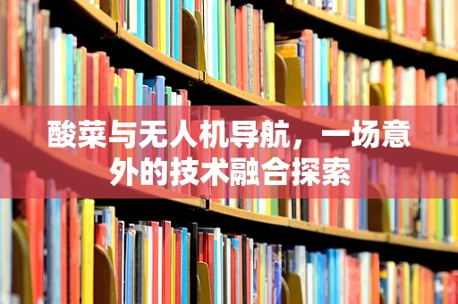 酸菜与无人机导航，一场意外的技术融合探索