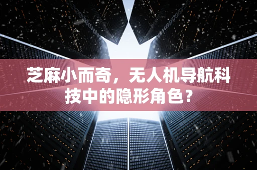 芝麻小而奇，无人机导航科技中的隐形角色？