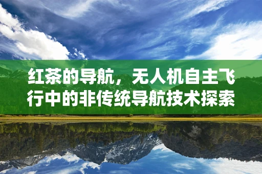 红茶的导航，无人机自主飞行中的非传统导航技术探索？