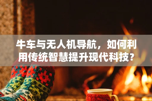 牛车与无人机导航，如何利用传统智慧提升现代科技？