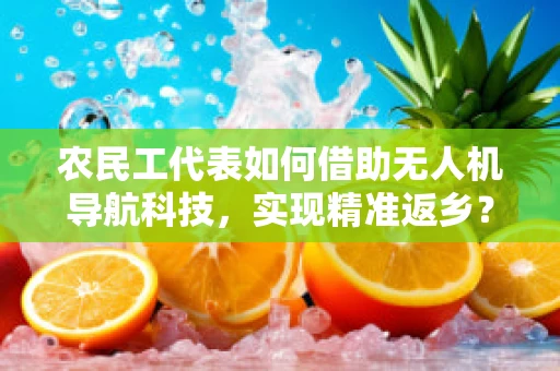 农民工代表如何借助无人机导航科技，实现精准返乡？
