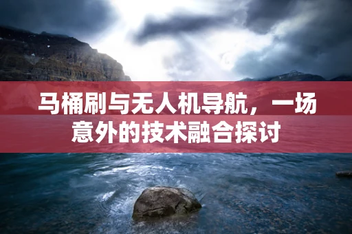 马桶刷与无人机导航，一场意外的技术融合探讨