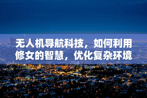 无人机导航科技，如何利用修女的智慧，优化复杂环境下的飞行路径？