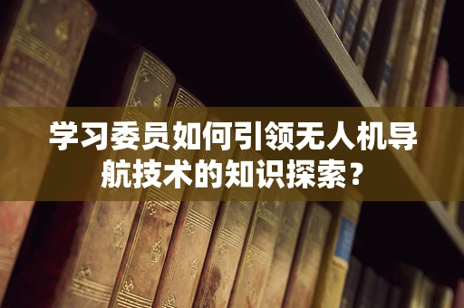 学习委员如何引领无人机导航技术的知识探索？