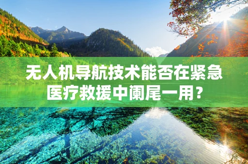 无人机导航技术能否在紧急医疗救援中阑尾一用？