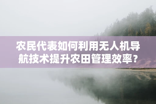 农民代表如何利用无人机导航技术提升农田管理效率？
