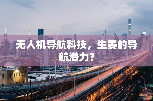 无人机导航科技，生姜的导航潜力？