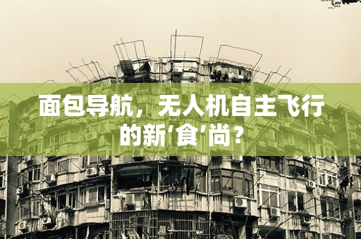 面包导航，无人机自主飞行的新‘食’尚？