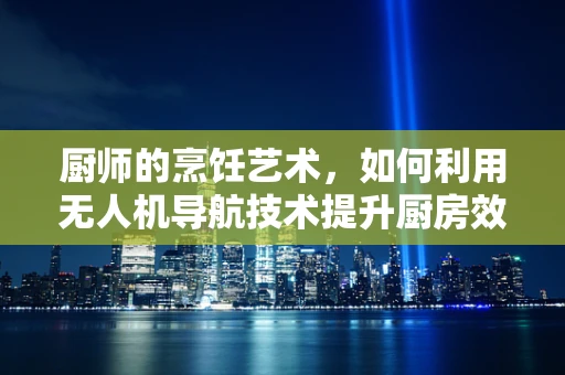 厨师的烹饪艺术，如何利用无人机导航技术提升厨房效率？