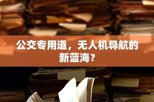 公交专用道，无人机导航的新蓝海？