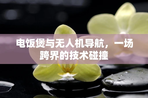 电饭煲与无人机导航，一场跨界的技术碰撞