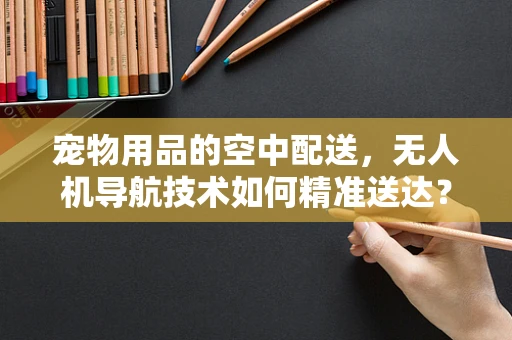 宠物用品的空中配送，无人机导航技术如何精准送达？