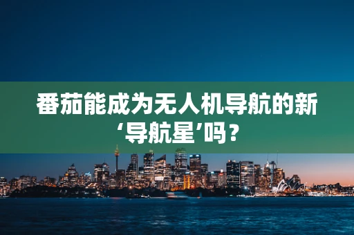 番茄能成为无人机导航的新‘导航星’吗？
