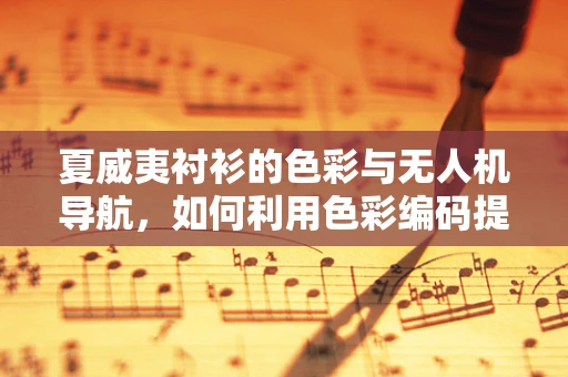 夏威夷衬衫的色彩与无人机导航，如何利用色彩编码提升飞行安全？