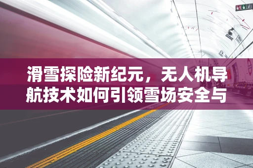 滑雪探险新纪元，无人机导航技术如何引领雪场安全与乐趣？