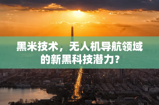 黑米技术，无人机导航领域的新黑科技潜力？