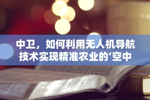 中卫，如何利用无人机导航技术实现精准农业的‘空中之眼’？
