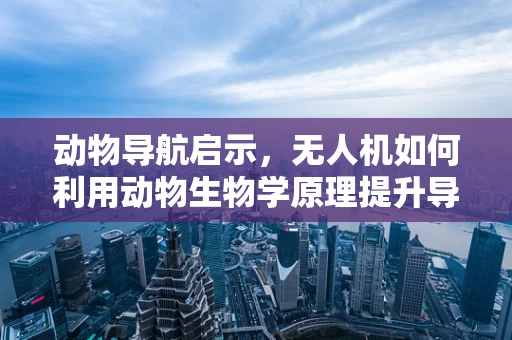 动物导航启示，无人机如何利用动物生物学原理提升导航精度？