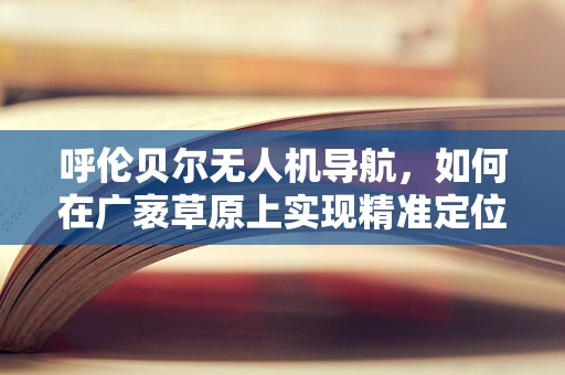 呼伦贝尔无人机导航，如何在广袤草原上实现精准定位？