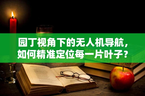 园丁视角下的无人机导航，如何精准定位每一片叶子？