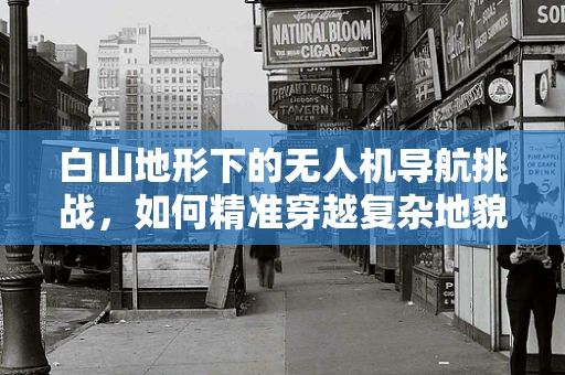 白山地形下的无人机导航挑战，如何精准穿越复杂地貌？