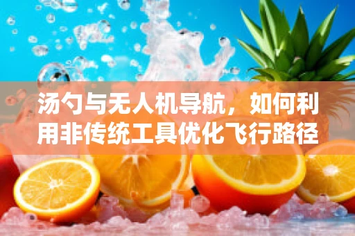 汤勺与无人机导航，如何利用非传统工具优化飞行路径？