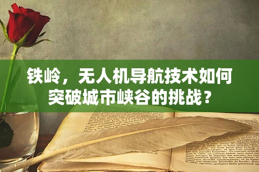 铁岭，无人机导航技术如何突破城市峡谷的挑战？