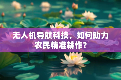 无人机导航科技，如何助力农民精准耕作？