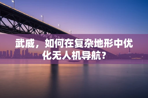 武威，如何在复杂地形中优化无人机导航？
