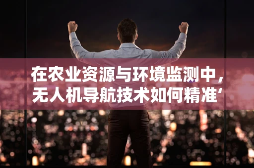 在农业资源与环境监测中，无人机导航技术如何精准‘导航’？