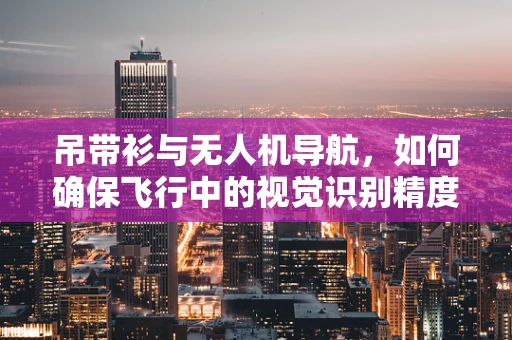 吊带衫与无人机导航，如何确保飞行中的视觉识别精度？