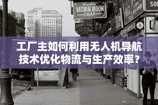 工厂主如何利用无人机导航技术优化物流与生产效率？