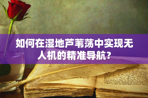 如何在湿地芦苇荡中实现无人机的精准导航？