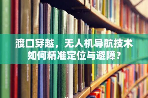 渡口穿越，无人机导航技术如何精准定位与避障？