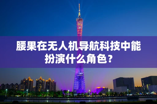 腰果在无人机导航科技中能扮演什么角色？