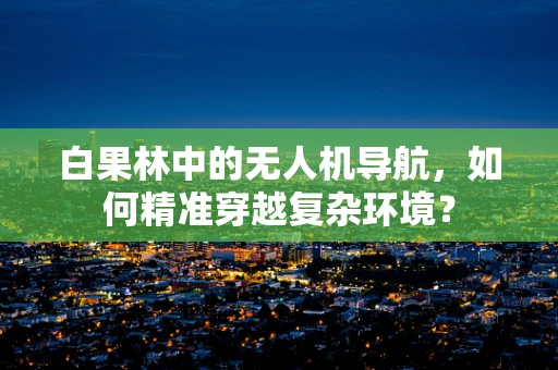 白果林中的无人机导航，如何精准穿越复杂环境？