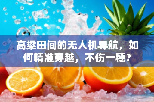 高粱田间的无人机导航，如何精准穿越，不伤一穗？