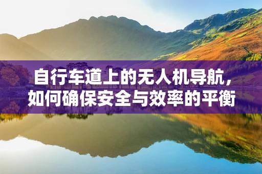 自行车道上的无人机导航，如何确保安全与效率的平衡？