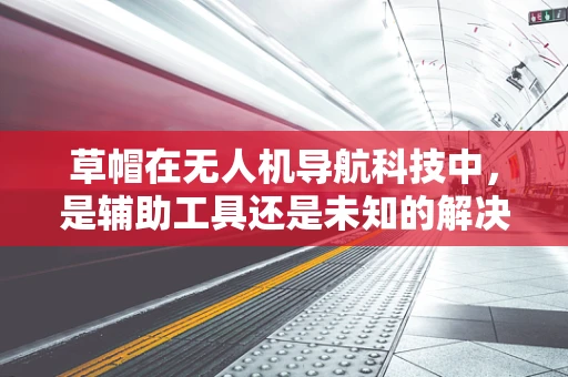 草帽在无人机导航科技中，是辅助工具还是未知的解决方案？