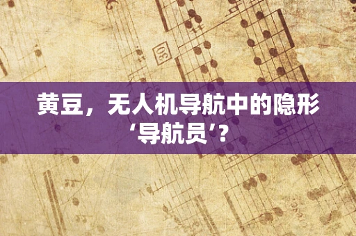 黄豆，无人机导航中的隐形‘导航员’？