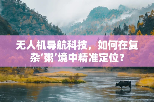 无人机导航科技，如何在复杂‘粥’境中精准定位？