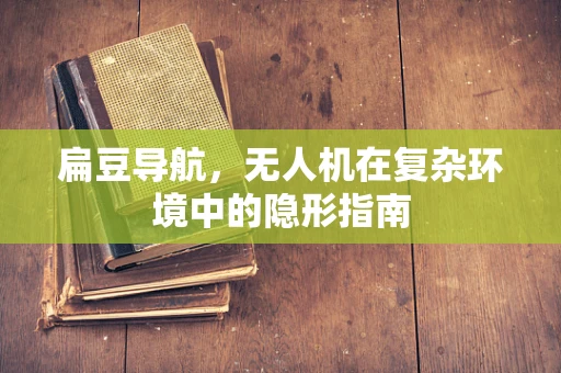 扁豆导航，无人机在复杂环境中的隐形指南