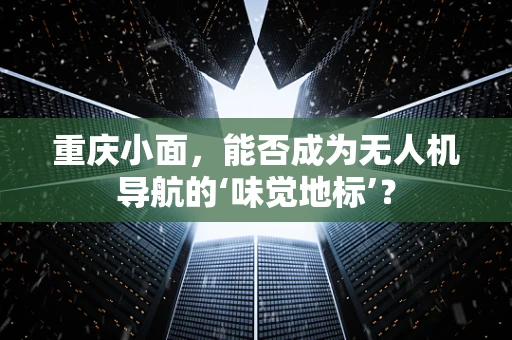 重庆小面，能否成为无人机导航的‘味觉地标’？