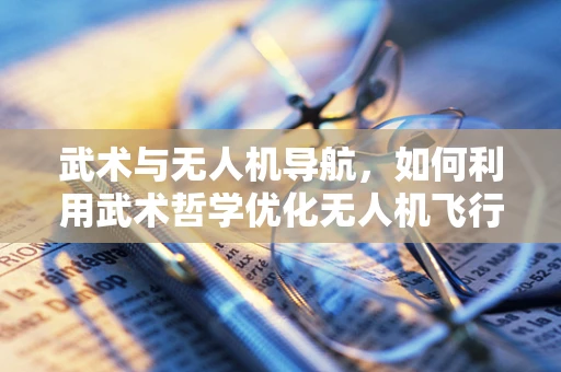 武术与无人机导航，如何利用武术哲学优化无人机飞行路径？