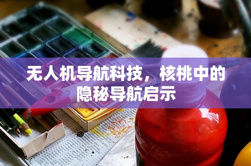 无人机导航科技，核桃中的隐秘导航启示